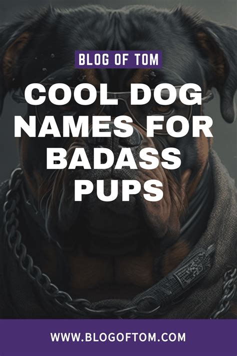 edgy dog names